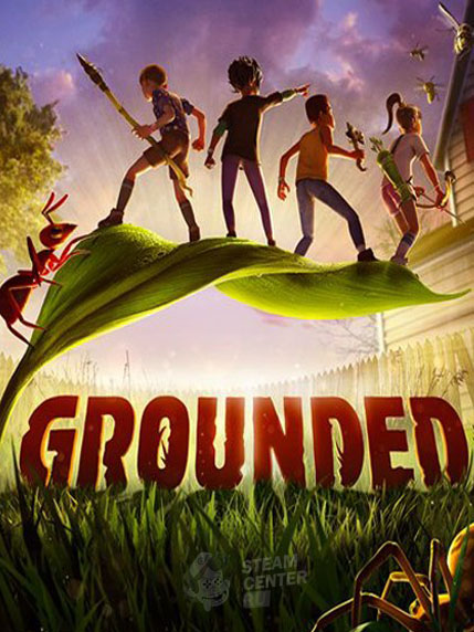 Buy Grounded